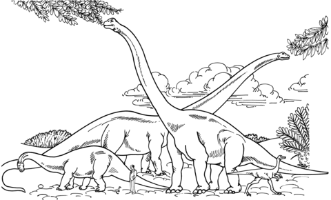 Barosaurus Hypselosaurus Brachiosaurus And Gallimimus Comparison With Human Coloring Page